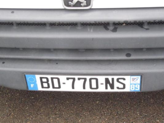 Pompa sterzo PEUGEOT BOXER 1 Gasolina - 1