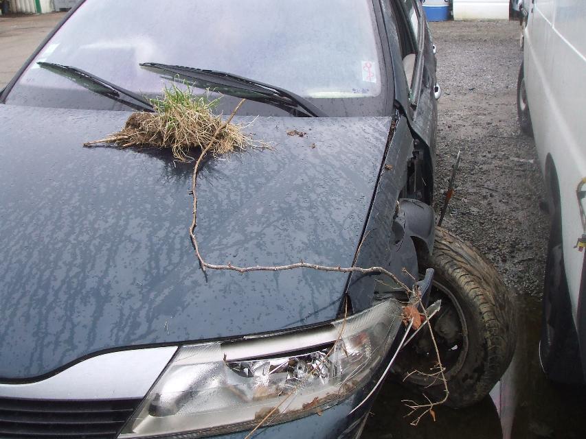 Image Feu arriere principal droit (feux) - RENAULT LAGUNA 2