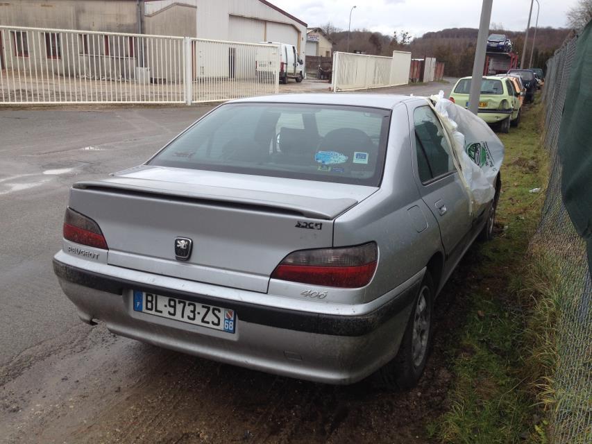 Ammortizzatore posteriore sinistro PEUGEOT 406 PHASE 1 Diésel - 1