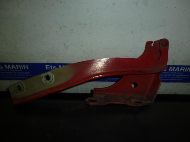 Cerniera cofano FIAT GRANDE PUNTO Diésel - 1
