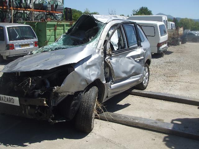 Image Poignee interieur arriere gauche - RENAULT KOLEOS 1