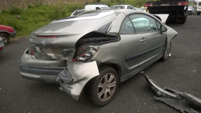 Image Custode arriere gauche (porte) - PEUGEOT 207