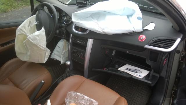 Image Custode arriere gauche (porte) - PEUGEOT 207