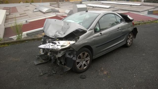 Image Custode arriere gauche (porte) - PEUGEOT 207