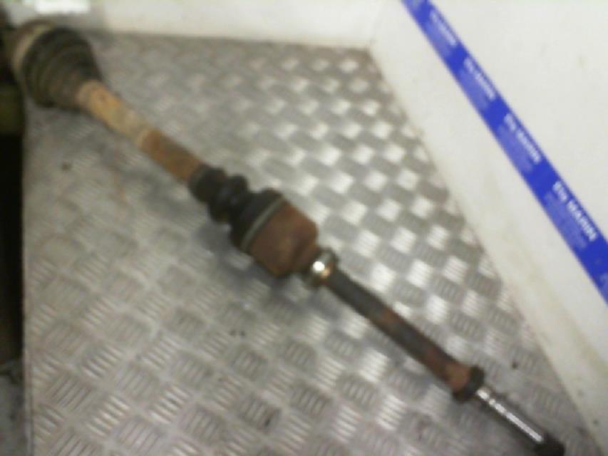 Giunto cardanico albero di trasmissione destro PEUGEOT 406 PHASE 2 Gasolina - 1