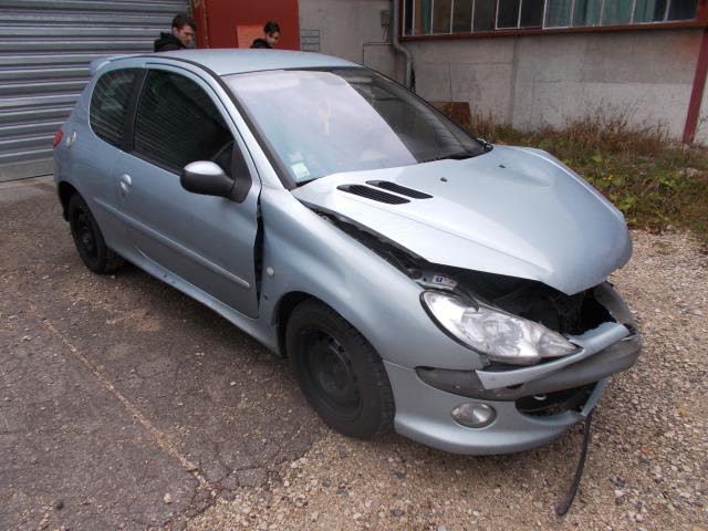Maniglia portiera anteriore sinistra PEUGEOT 206 PHASE 1 Diésel - 1