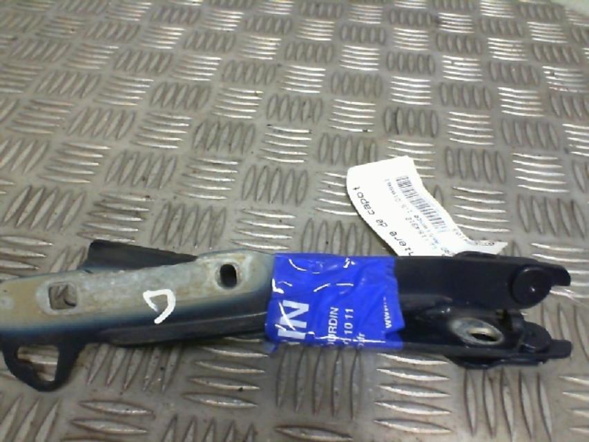 Charniere de capot DACIA SANDERO 1 Diesel - 1