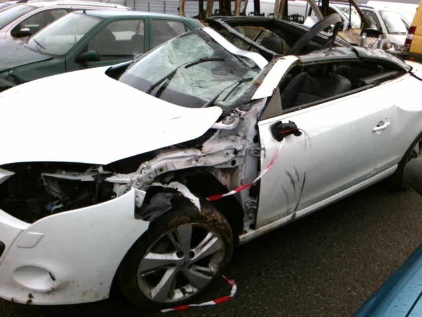 Image Banquette arriere - RENAULT MEGANE 3