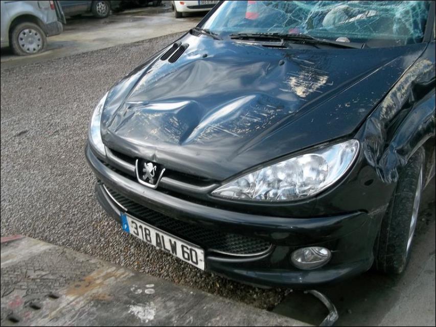 Cilindro maestro (freno) PEUGEOT 206 PHASE 1 Diésel - 1