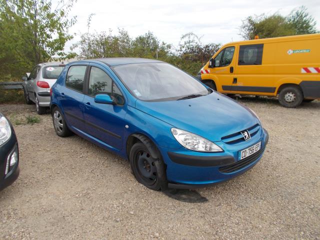 Maniglia portiera posteriore sinistra PEUGEOT 307 PHASE 1 Diésel - 1