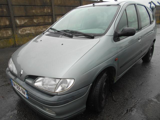 Giunto cardanico albero di trasmissione sinistro RENAULT SCENIC 1 PHASE 1 Diésel - 1