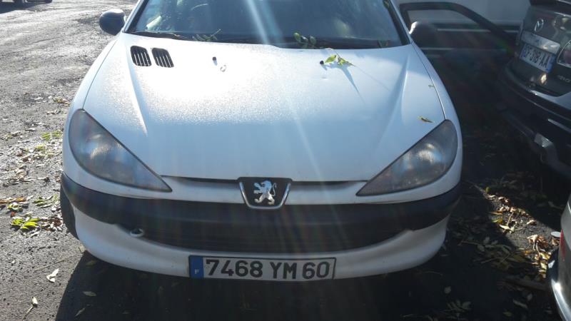 Pinza freni anteriore sinistra PEUGEOT 206 PHASE 1 Diésel - 1