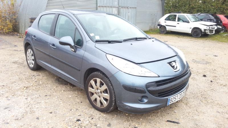 Ammortizzatore posteriore sinistro PEUGEOT 207 PHASE 1 Gasolina - 1