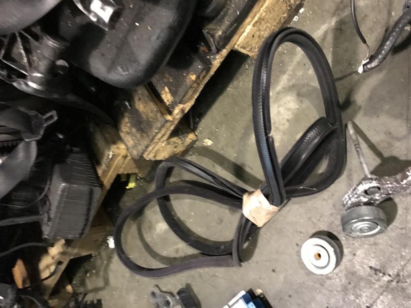 Guarnizione sportello anteriore sinistro BMW SERIE 7 E38 Diésel - 1