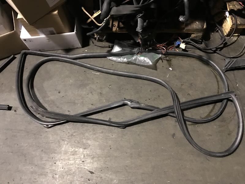 Guarnizione sportello anteriore destro MINI MINI 1 R50/R53  - 1
