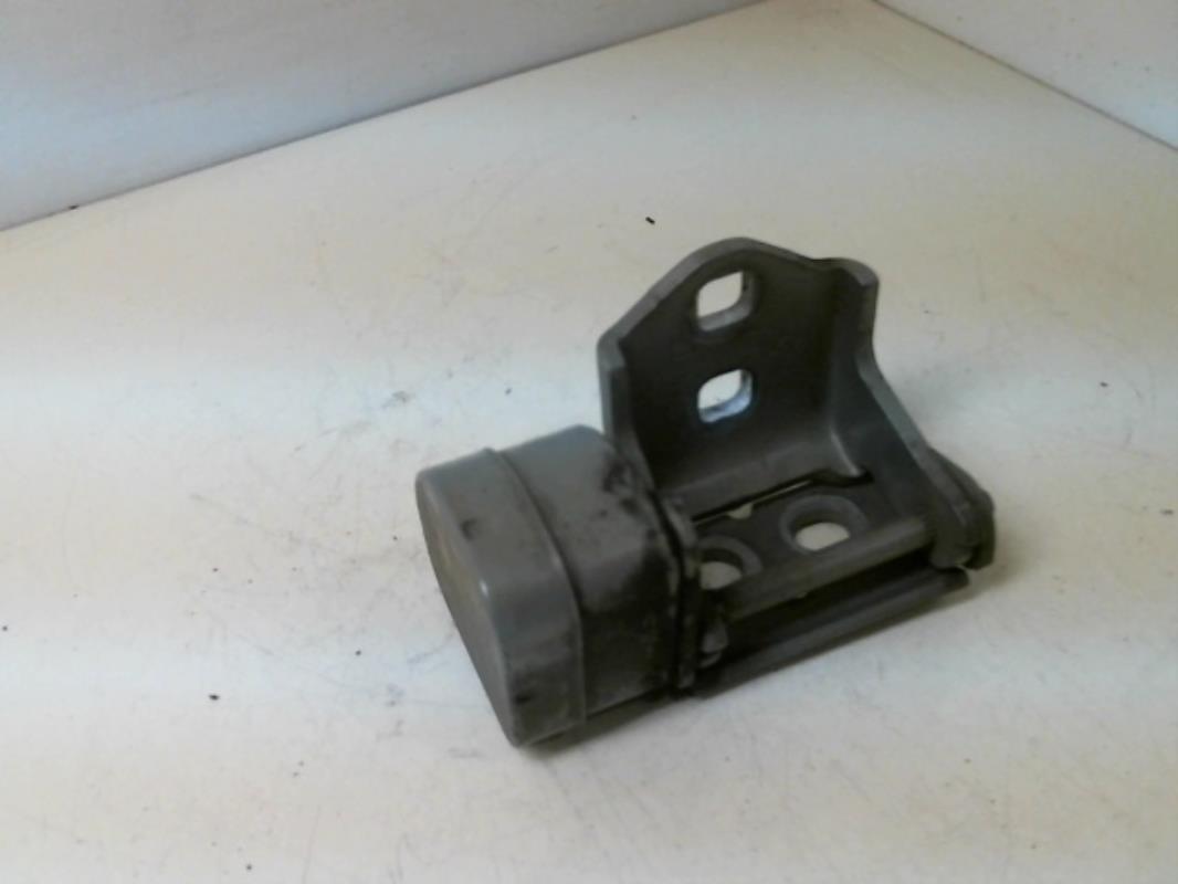 Cerniera portiera posteriore destra RENAULT SCENIC 2  - 1