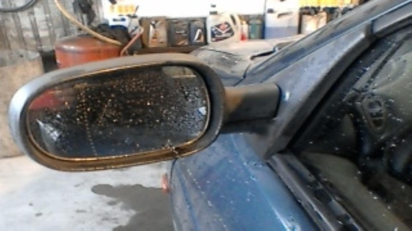 Specchietto retrovisore sinistro RENAULT MEGANE 1 PHASE 1 Gasolina - 1