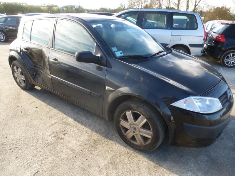 Image Porte arriere gauche - RENAULT MEGANE 2