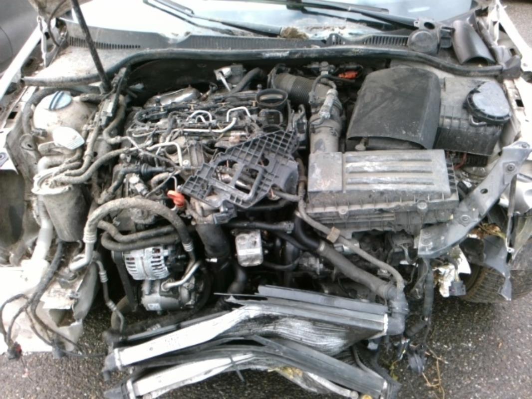 Image Ceinture arriere gauche - VOLKSWAGEN GOLF 6