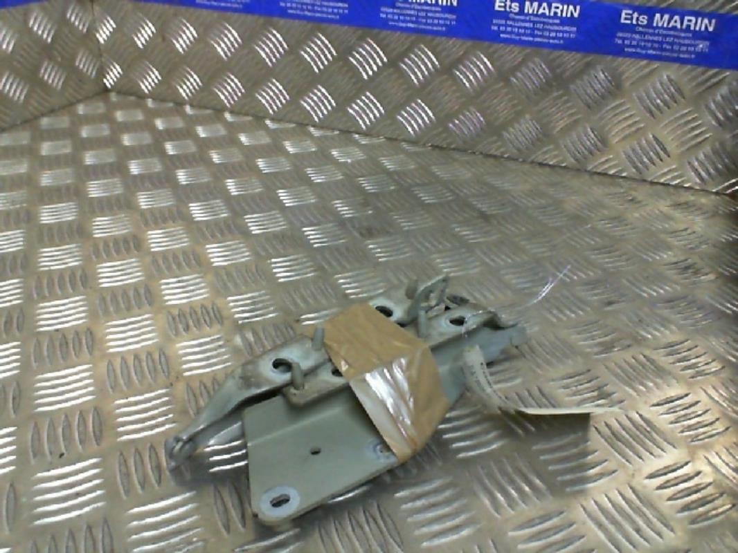 Charniere de capot CITROEN C3 1 PHASE 1 Diesel - 1