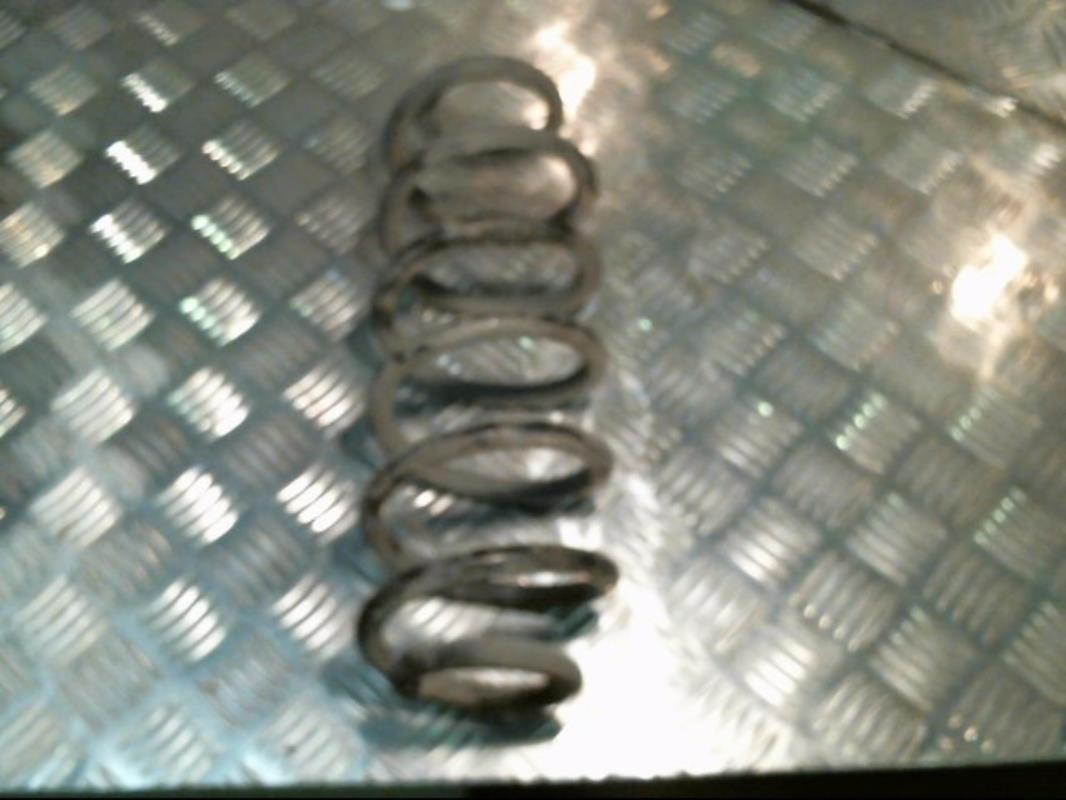 Molla sospensione posteriore destra VOLKSWAGEN GOLF 5 Diésel - 1