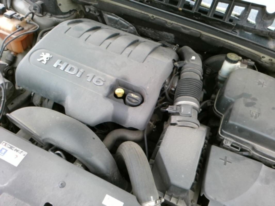 Image Ceinture arriere gauche - PEUGEOT 407