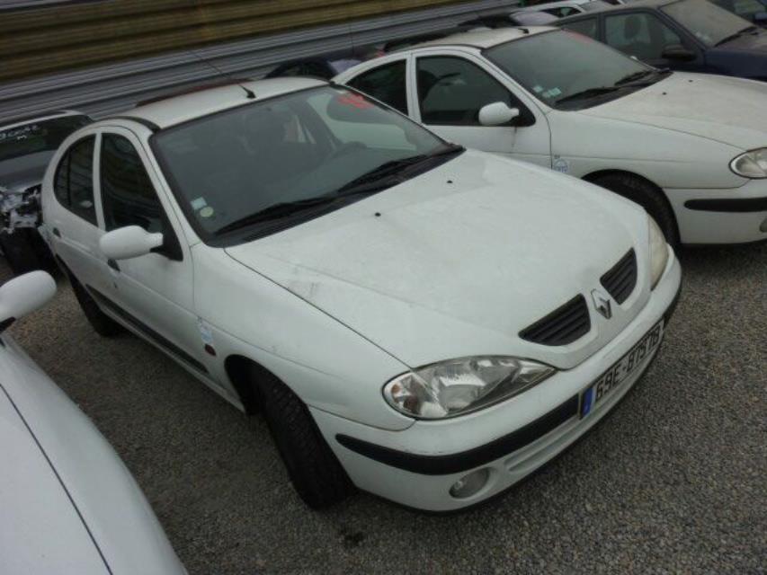 Giunto cardanico albero di trasmissione sinistro RENAULT MEGANE 1 PHASE 2 Gasolina - 1