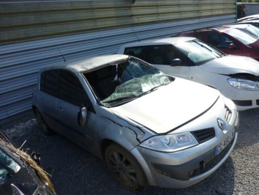 Giunto cardanico albero di trasmissione sinistro RENAULT MEGANE 2 PHASE 2 Diésel - 1