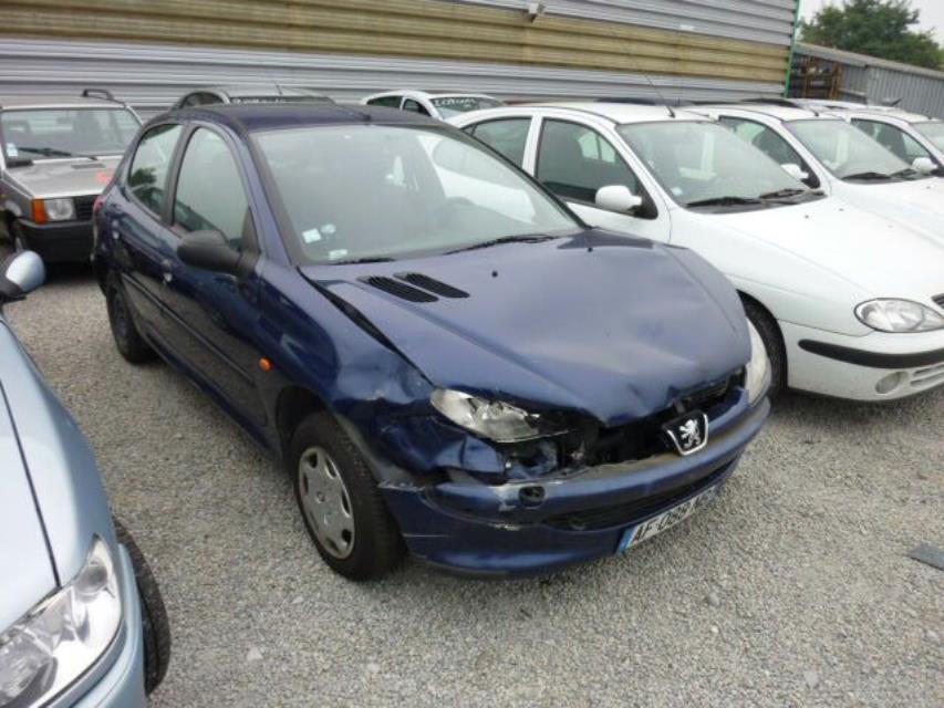 Giunto cardanico albero di trasmissione sinistro PEUGEOT 206 PHASE 1 Gasolina - 1