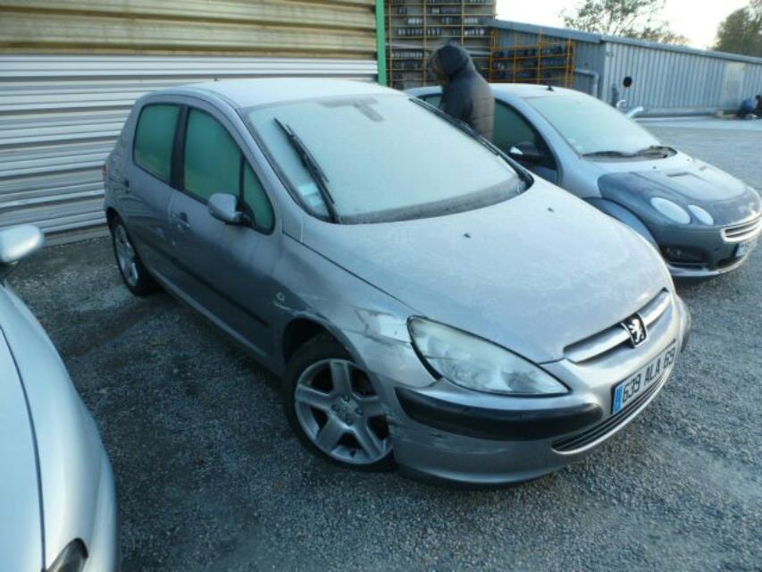 Giunto cardanico albero di trasmissione destro PEUGEOT 307 PHASE 1 Gasolina - 1