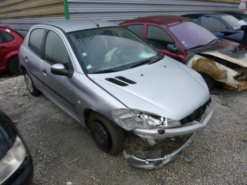 Giunto cardanico albero di trasmissione sinistro PEUGEOT 206 PHASE 1 Gasolina - 1