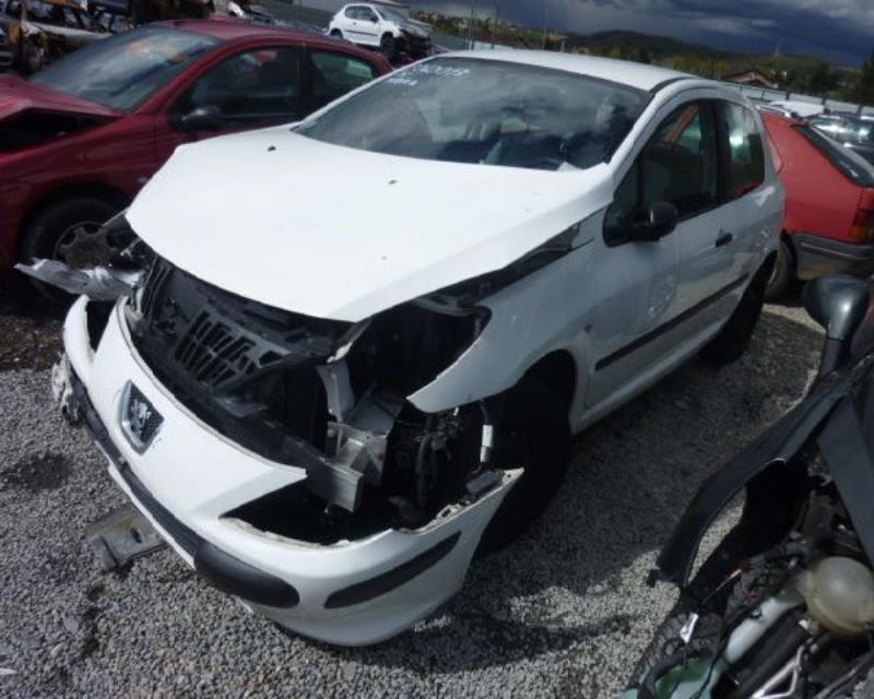 Giunto cardanico albero di trasmissione sinistro PEUGEOT 307 PHASE 2 Diésel - 1