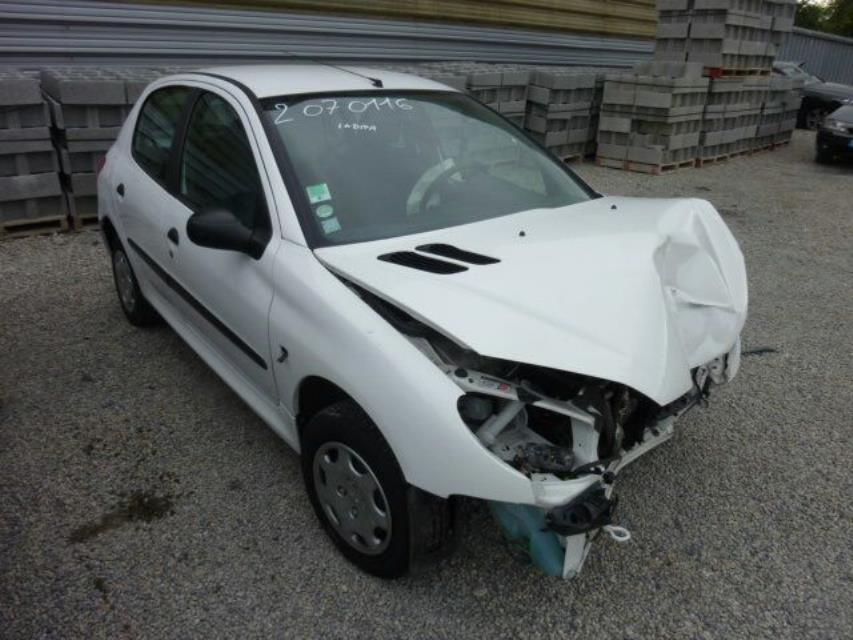 Giunto cardanico albero di trasmissione sinistro PEUGEOT 206 PHASE 1 Gasolina - 1