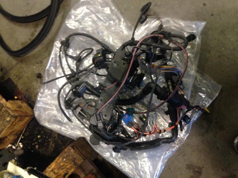 Cablaggio motore BMW SERIE 5 (E60) PHASE 1  - 1