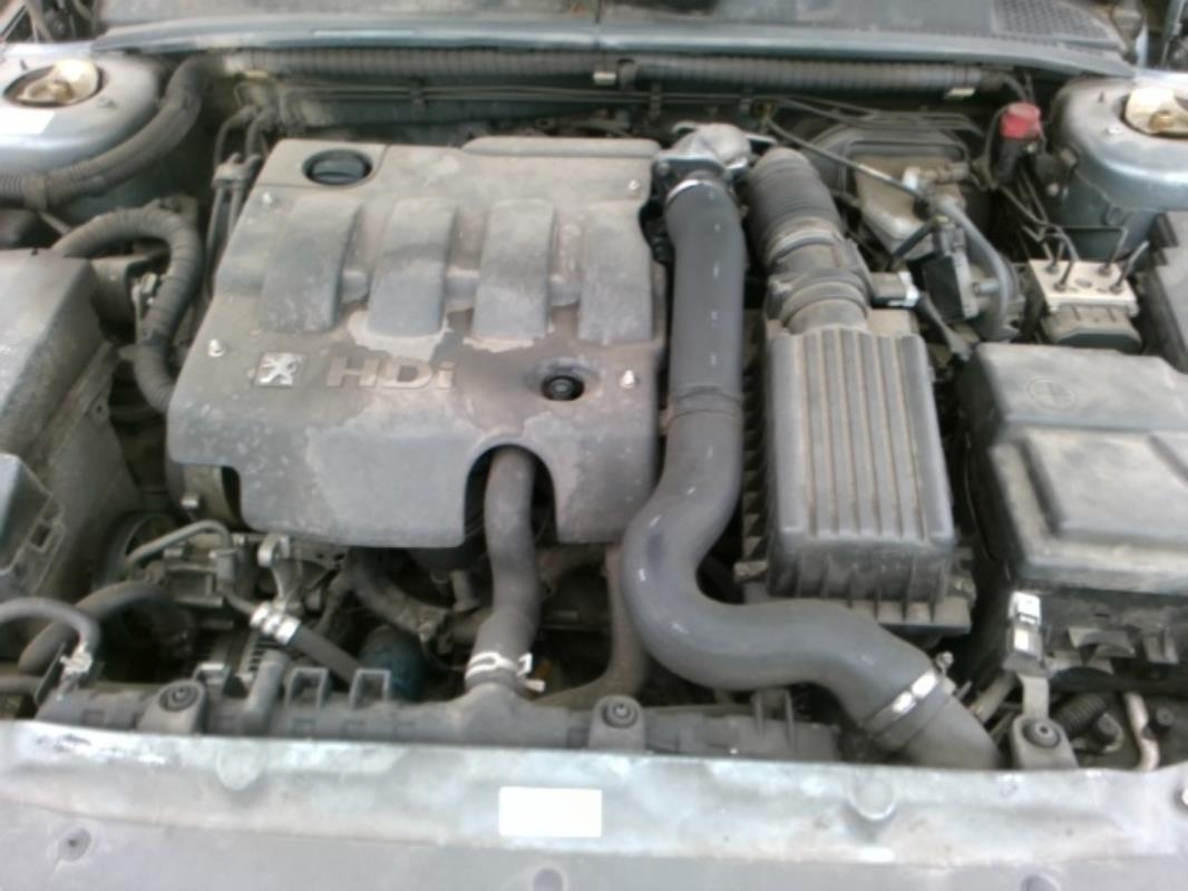 Image Cardan droit (transmission) - PEUGEOT 406