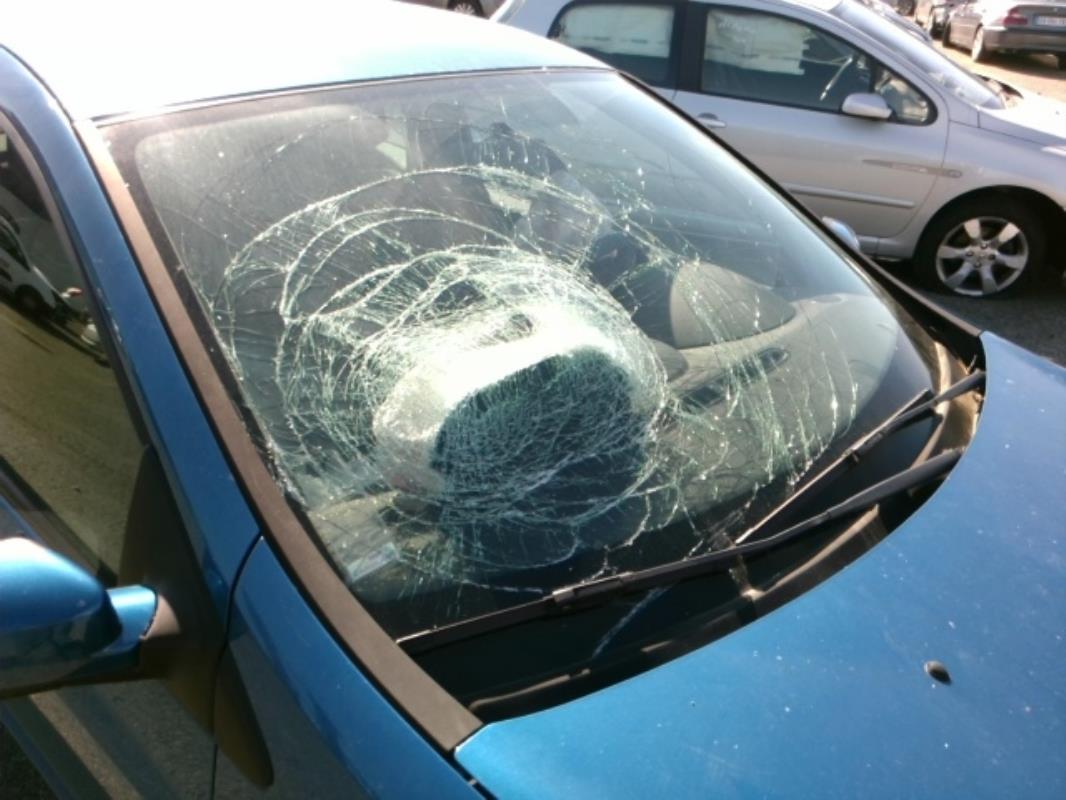 Image Cardan gauche (transmission) - RENAULT CLIO 3