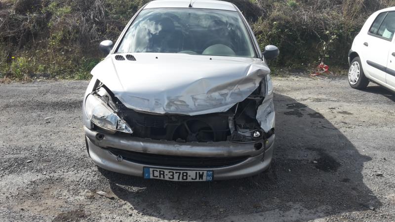 Calotta piantone PEUGEOT 206 PHASE 1 Diésel - 1