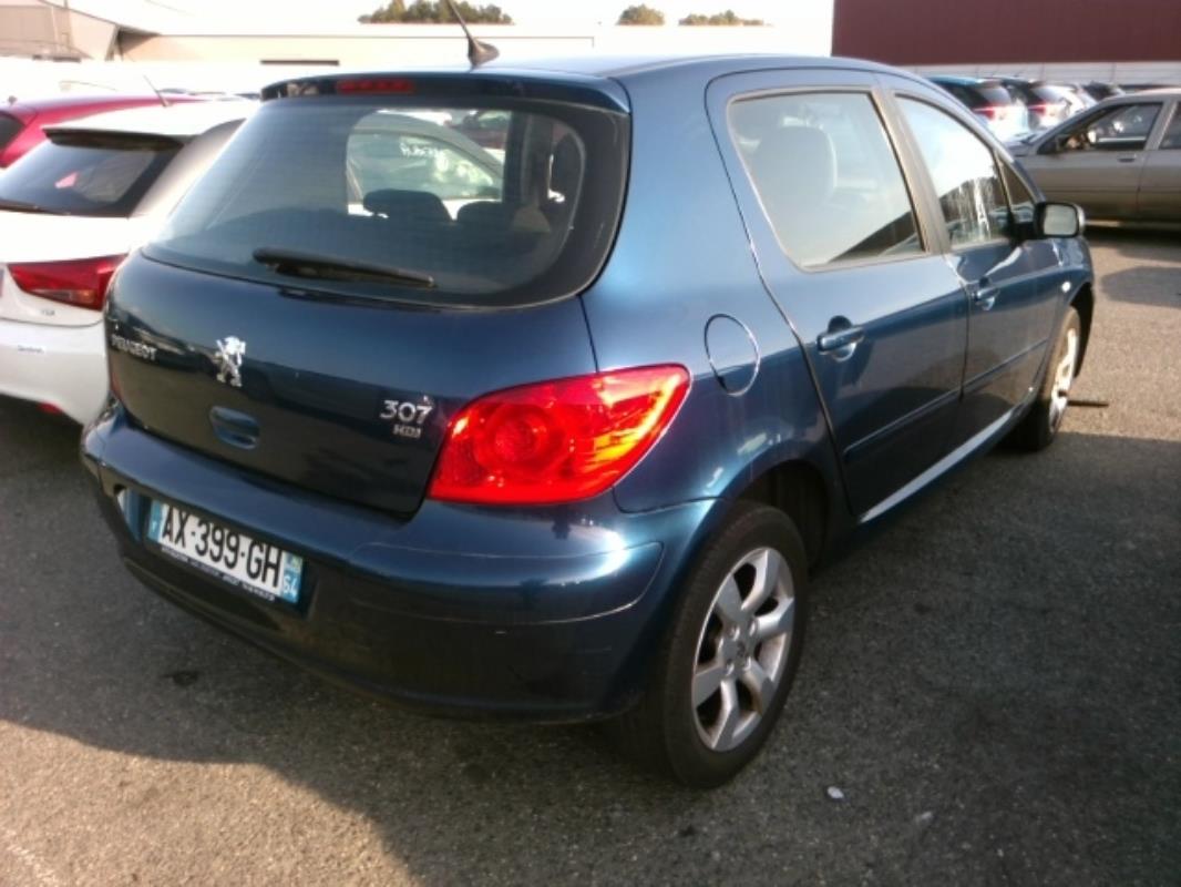 Image Malle/Hayon arriere - PEUGEOT 307