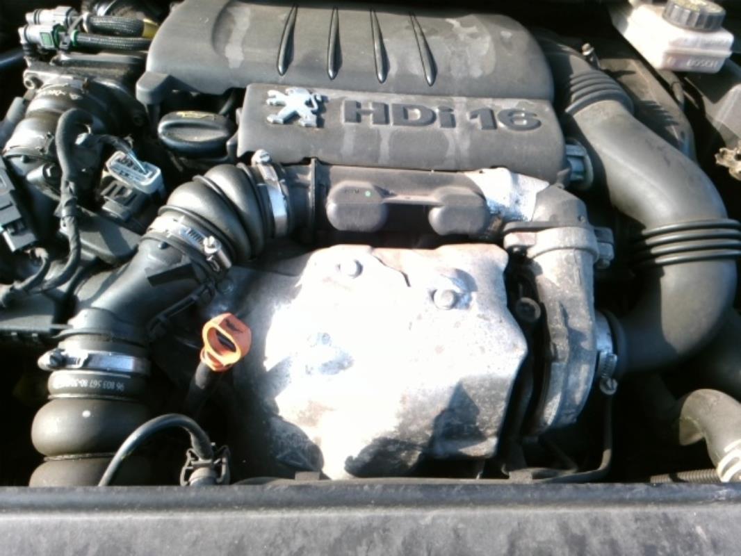 Image Malle/Hayon arriere - PEUGEOT 307
