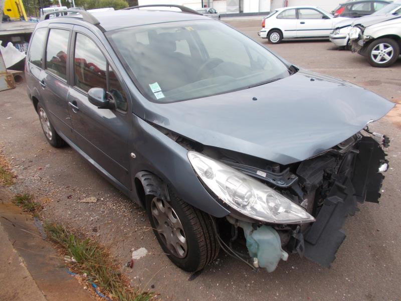 Portiera posteriore sinistra PEUGEOT 307 PHASE 2 BREAK Diésel - 1