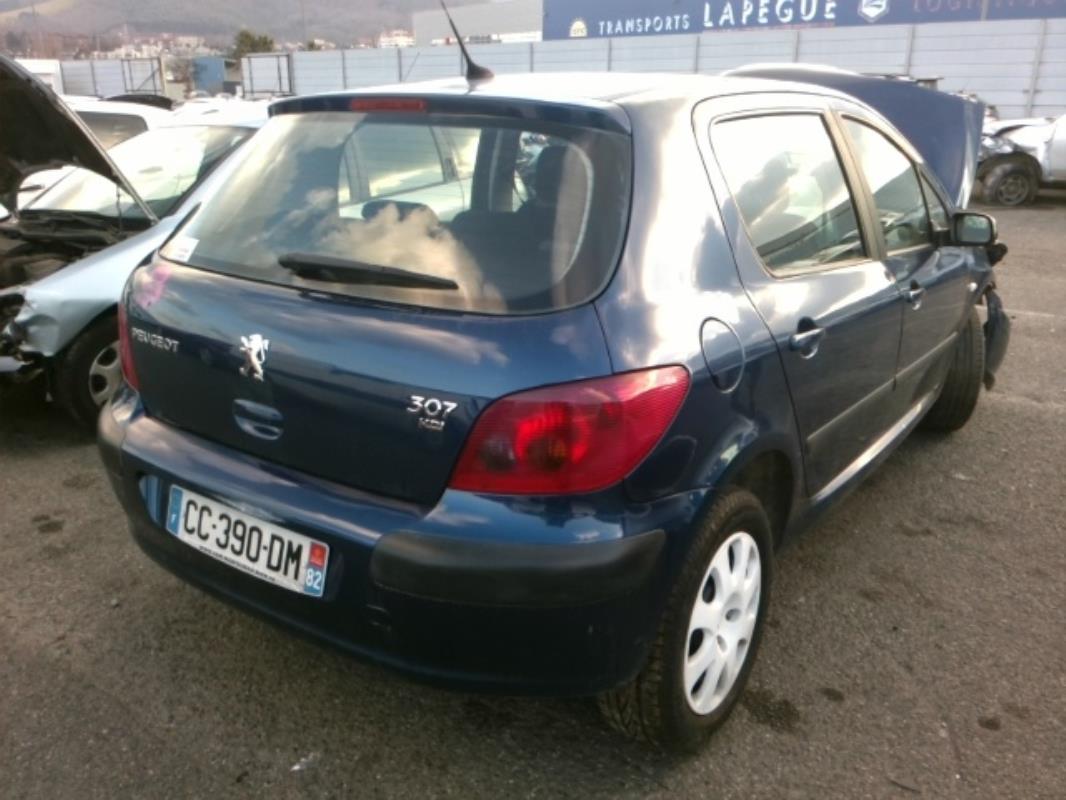 Image Afficheur - PEUGEOT 307
