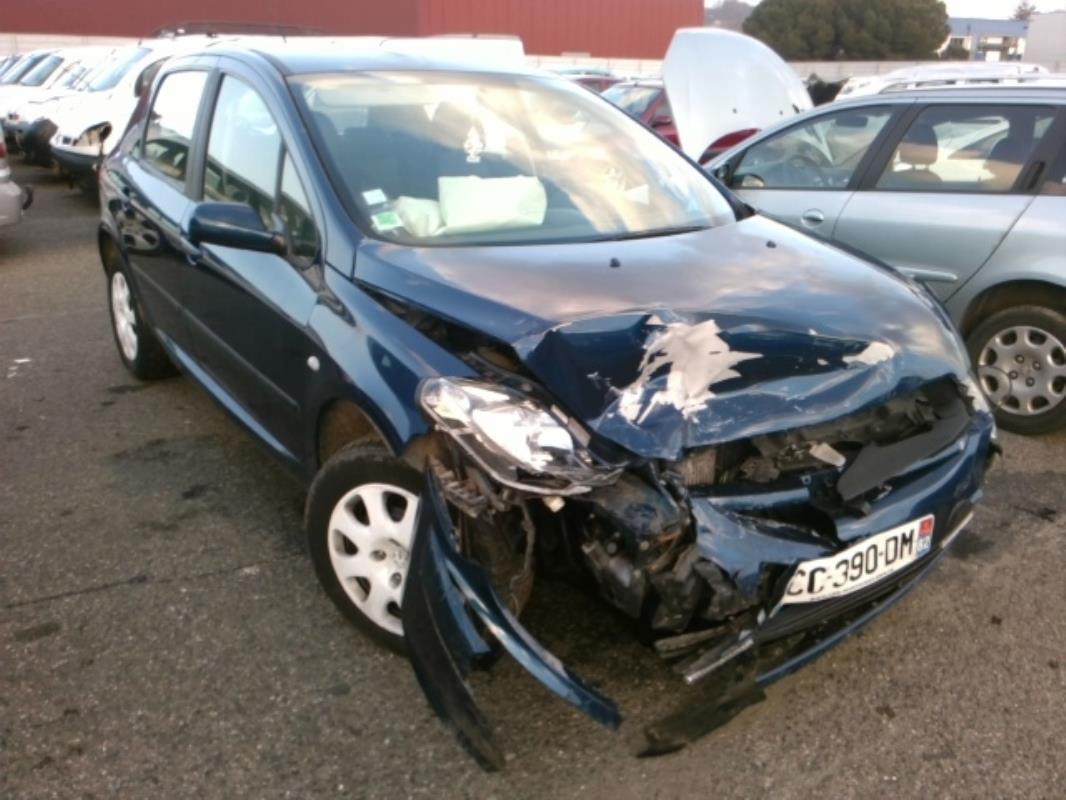 Image Afficheur - PEUGEOT 307