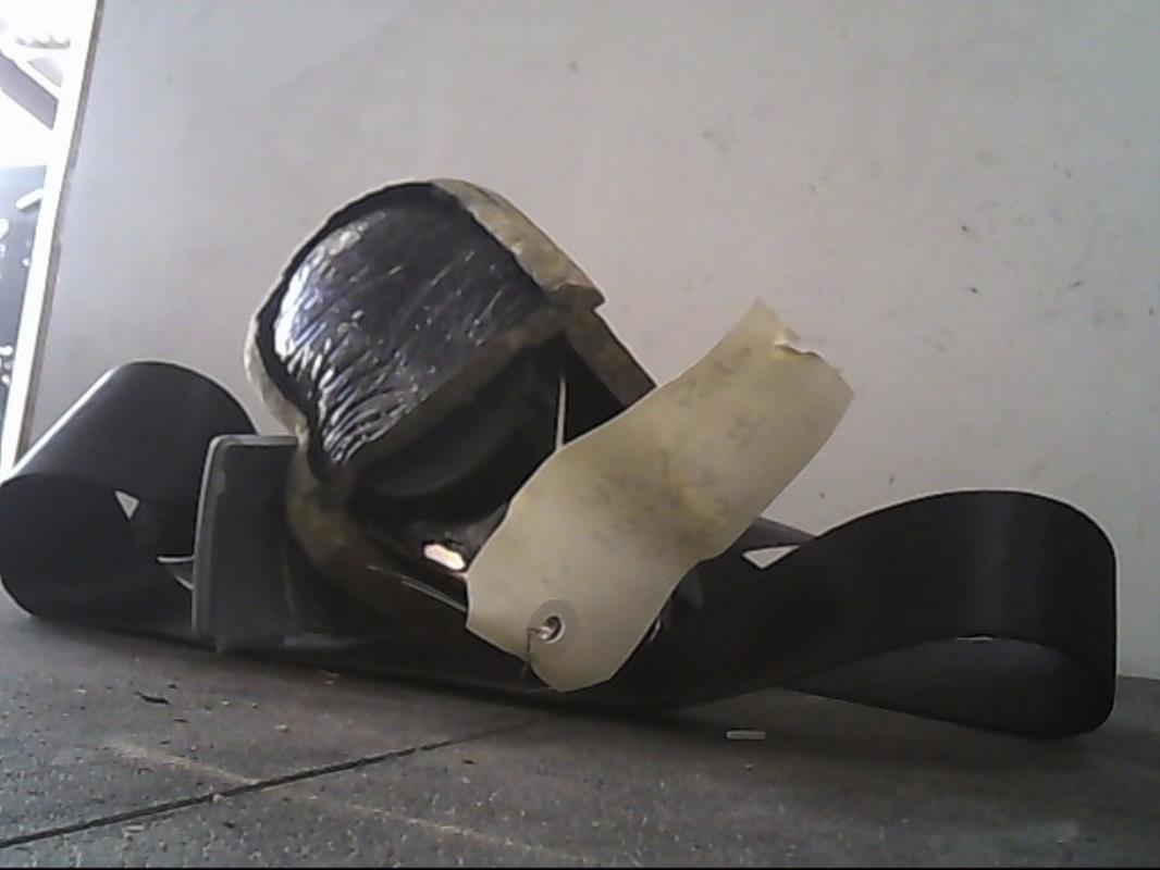 Cintura di sicurezza posteriore destra FIAT PANDA 2 PHASE 1 Gasolina - 1