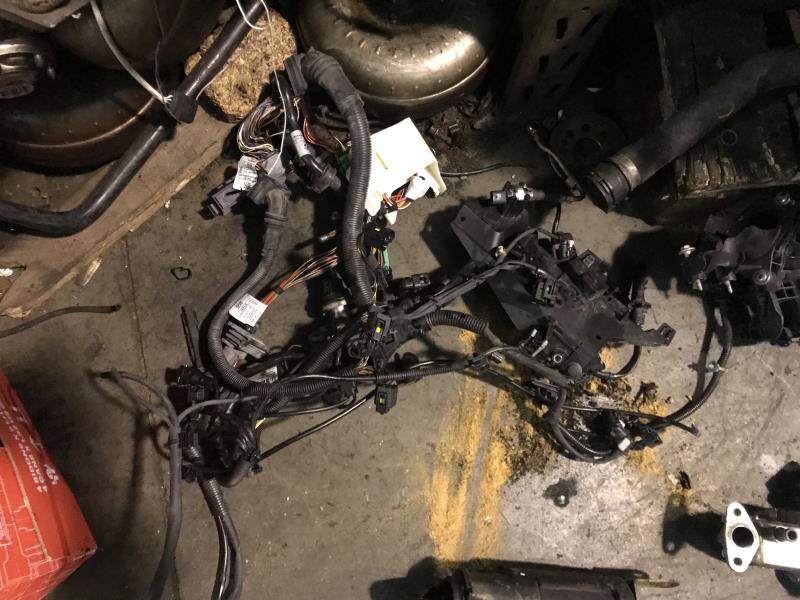 Cablaggio motore BMW SERIE 1 (F20)  - 1