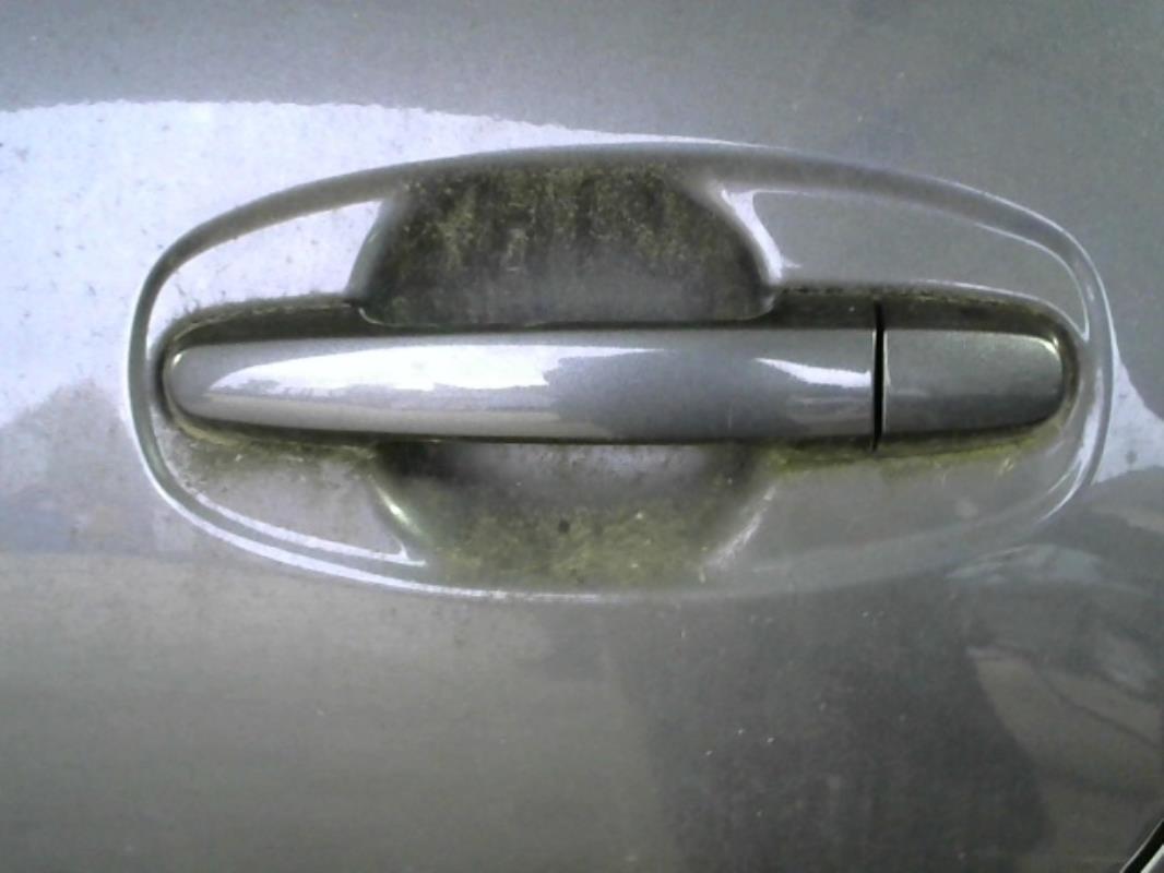 Maniglia portiera posteriore sinistra TOYOTA PRIUS 2 Gasolina/Híbrido - 1