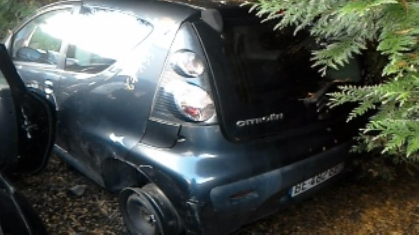 Capot CITROEN C1 1 PHASE 1 Diesel - 1