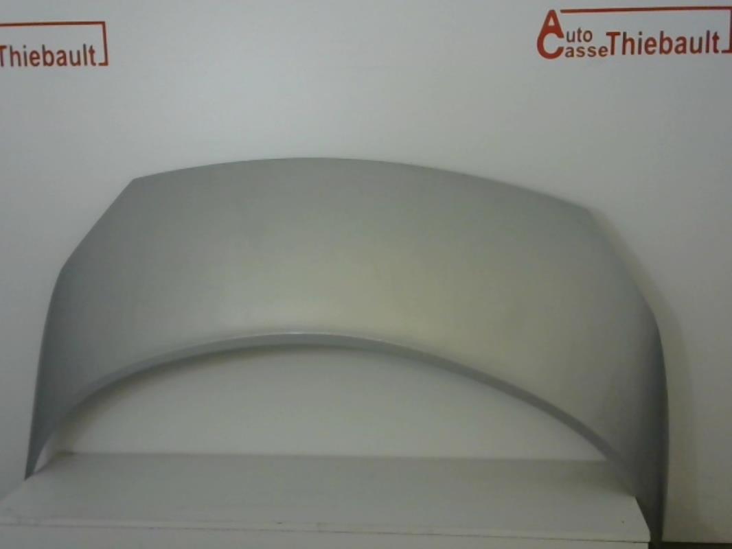 Capot RENAULT GRAND SCENIC 2 PHASE 1 Diesel - 1