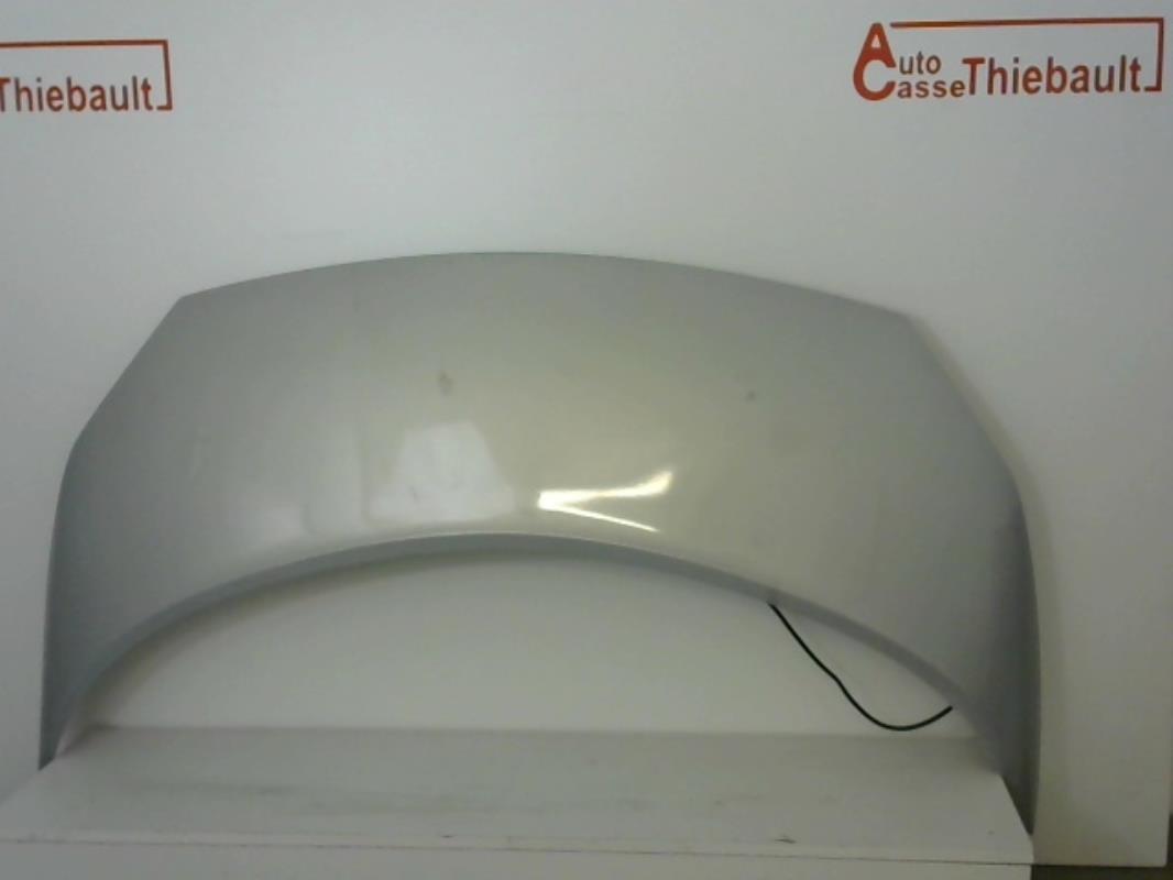 Capot RENAULT GRAND SCENIC 2 PHASE 1 Diesel - 1