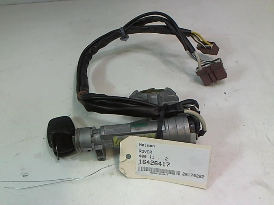 Image Neiman - ROVER 400 2