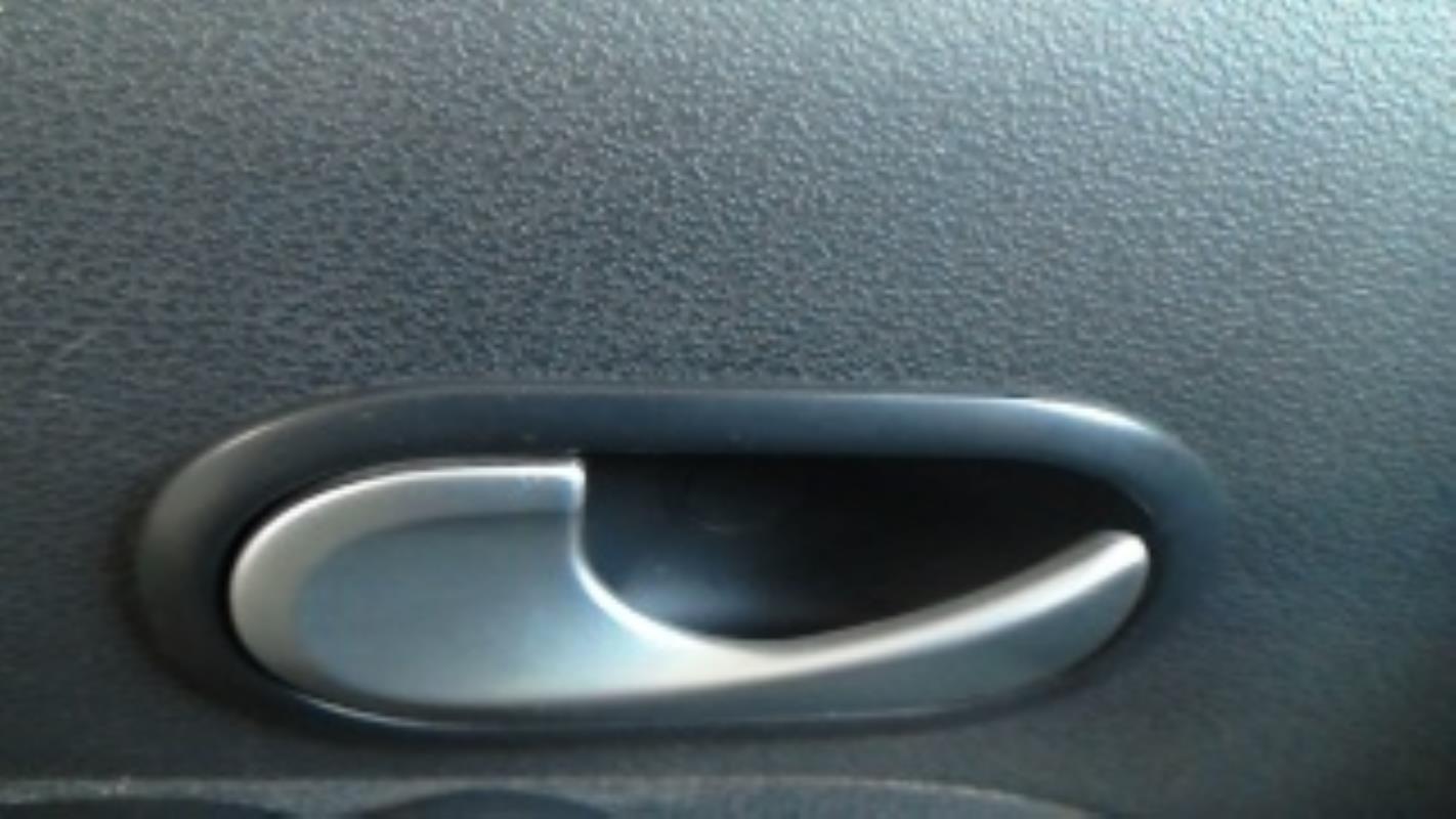 Maniglia interna posteriore sinistra RENAULT GRAND MODUS PHASE 2 Diésel - 1